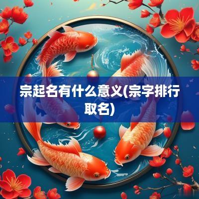 宗起名有什么意义(宗字排行取名)