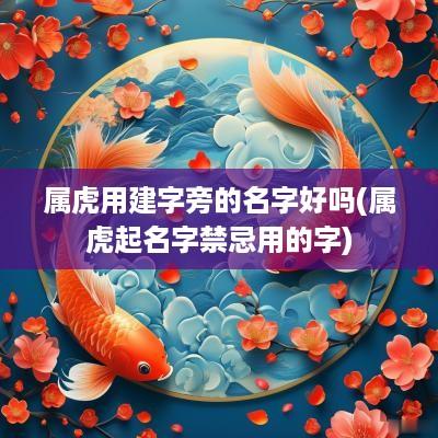 属虎用建字旁的名字好吗(属虎起名字禁忌用的字)