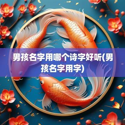 男孩名字用哪个诗字好听(男孩名字用字)