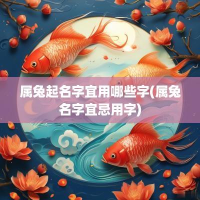 属兔起名字宜用哪些字(属兔名字宜忌用字)