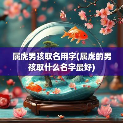 属虎男孩取名用字(属虎的男孩取什么名字最好)