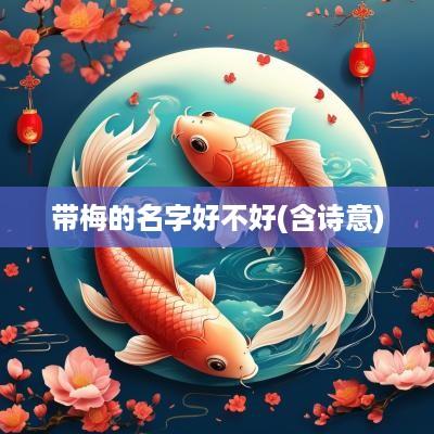 带梅的名字好不好(含诗意)