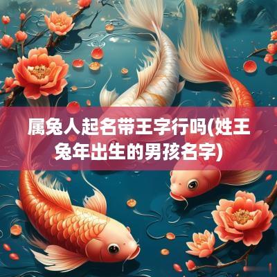 属兔人起名带王字行吗(姓王蛇年出生的男孩名字)