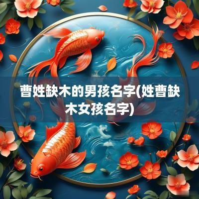 曹姓缺木的男孩名字(姓曹缺木女孩名字)
