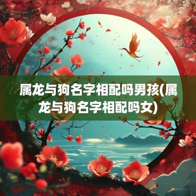 属龙与狗名字相配吗男孩(属龙与狗名字相配吗女)