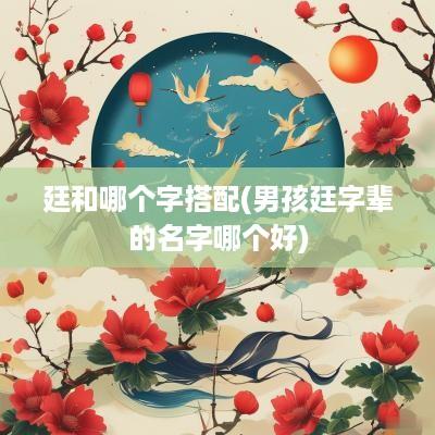 廷和哪个字搭配(男孩廷字辈的名字哪个好)