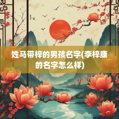 姓马带梓的男孩名字(李梓康的名字怎么样)