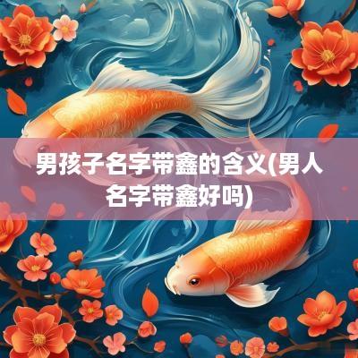 男孩子名字带鑫的含义(男人名字带鑫好吗)