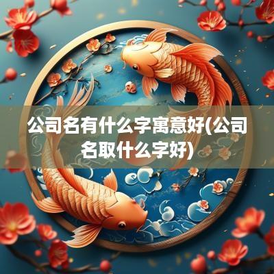公司名有什么字寓意好(公司名取什么字好)