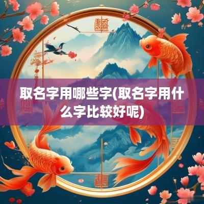 取名字用哪些字(取名字用什么字比较好呢)