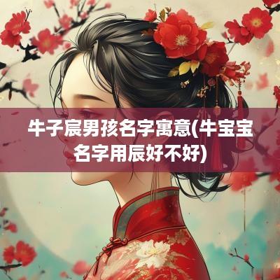 牛子宸男孩名字寓意(牛宝宝名字用辰好不好)
