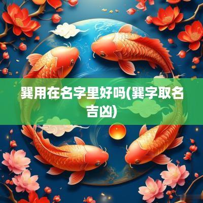 巽用在名字里好吗(巽字取名吉凶)