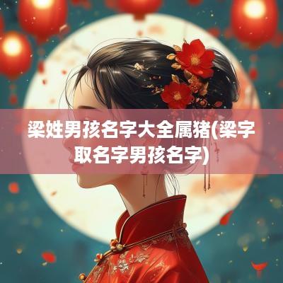 梁姓男孩名字大全属猪(梁字取名字男孩名字)