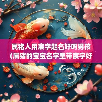属猪人用宸字起名好吗男孩(属猪的宝宝名字里带宸字好吗)
