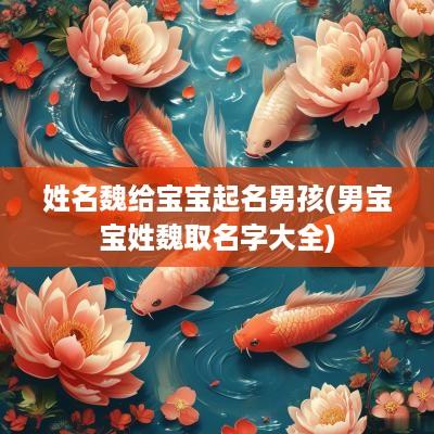 姓名魏给宝宝起名男孩(男宝宝姓魏取名字大全)