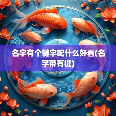 名字有个键字配什么好看(名字带有键)