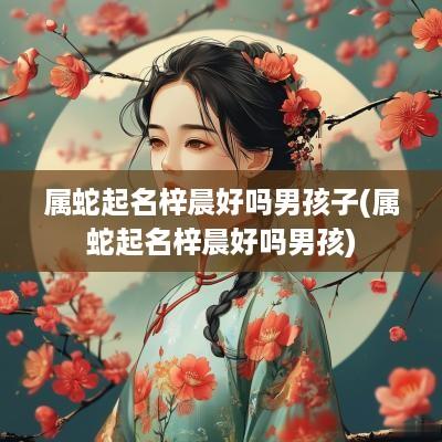 属蛇起名梓晨好吗男孩子(属蛇起名梓晨好吗男孩)