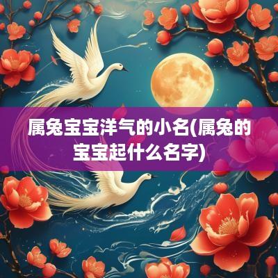 属兔宝宝洋气的小名(属兔的宝宝起什么名字)