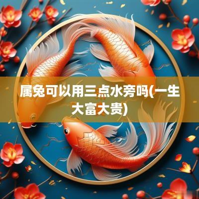 属兔可以用三点水旁吗(一生大富大贵)