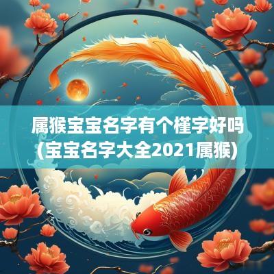 属猴宝宝名字有个槿字好吗(宝宝名字大全2025属猴)