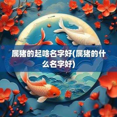 属猪的起啥名字好(属猪的什么名字好)
