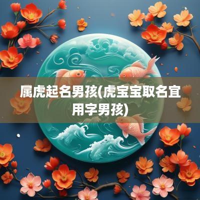 属虎起名男孩(虎宝宝取名宜用字男孩)