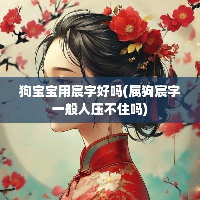 狗宝宝用宸字好吗(属狗宸字一般人压不住吗)