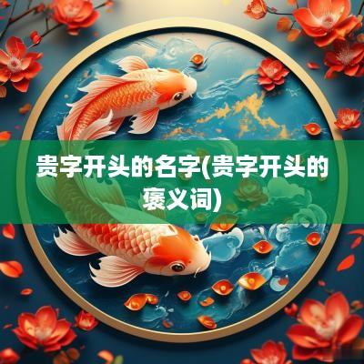 贵字开头的名字(贵字开头的褒义词)