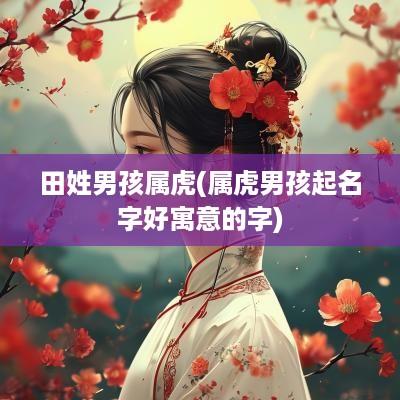 田姓男孩属虎(属虎男孩起名字好寓意的字)