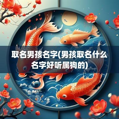 取名男孩名字(男孩取名什么名字好听属狗的)