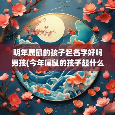 明年属鼠的孩子起名字好吗男孩(今年属鼠的孩子起什么名字好)