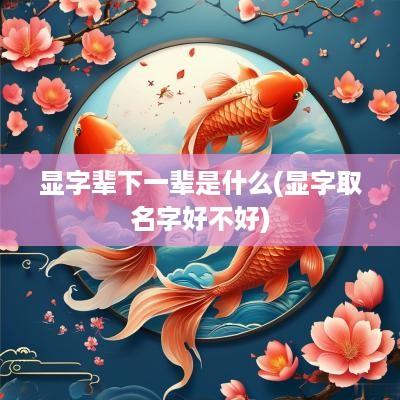 显字辈下一辈是什么(显字取名字好不好)