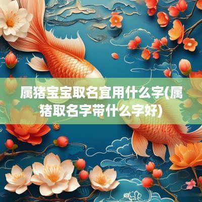 属猪宝宝取名宜用什么字(属猪取名字带什么字好)