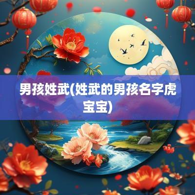 男孩姓武(姓武的男孩名字虎宝宝)