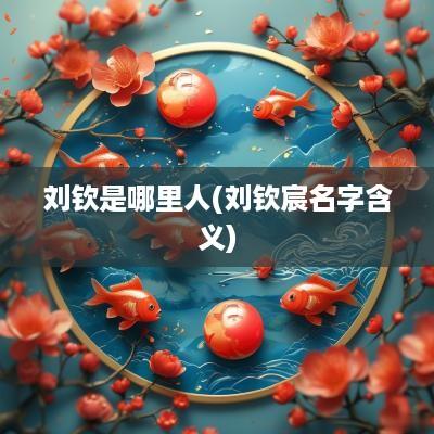 刘钦是哪里人(刘钦宸名字含义)