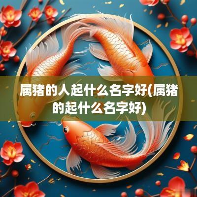 属猪的人起什么名字好(属猪的起什么名字好)