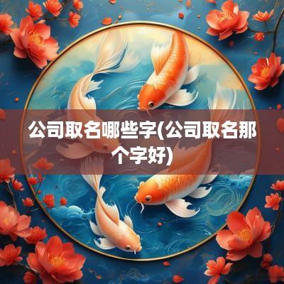 公司取名哪些字(公司取名那个字好)
