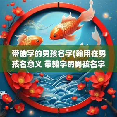 带皓字的男孩名字(翰用在男孩名意义 带翰字的男孩名字)