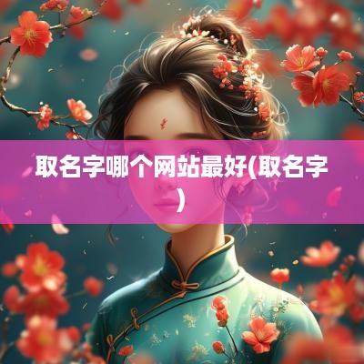 取名字哪个网站最好(取名字)