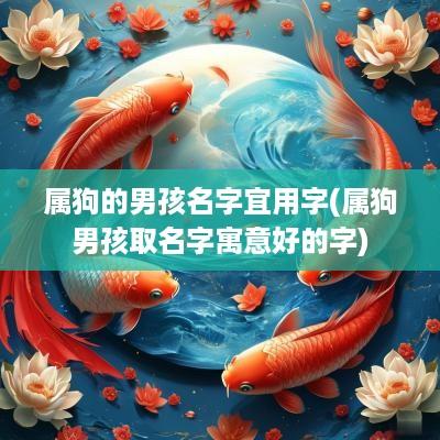 属狗的男孩名字宜用字(属狗男孩取名字寓意好的字)