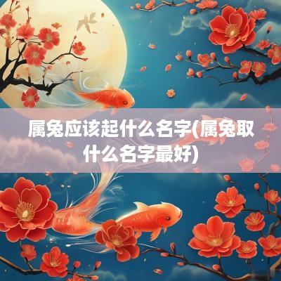 属兔应该起什么名字(属兔取什么名字最好)