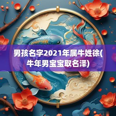 男孩名字2025年属牛姓徐(蛇年男宝宝取名泽)