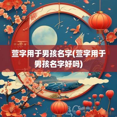萱字用于男孩名字(萱字用于男孩名字好吗)