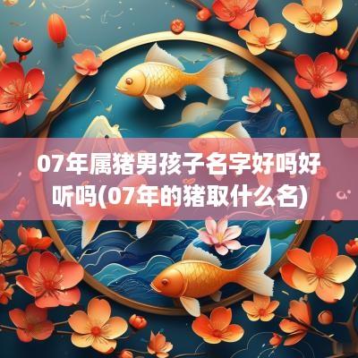 07年属猪男孩子名字好吗好听吗(07年的猪取什么名)