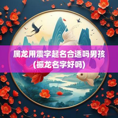 属龙用震字起名合适吗男孩(振龙名字好吗)