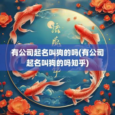 有公司起名叫狗的吗(有公司起名叫狗的吗知乎)