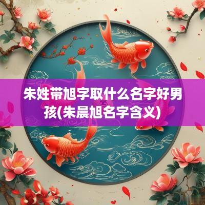 朱姓带旭字取什么名字好男孩(朱晨旭名字含义)