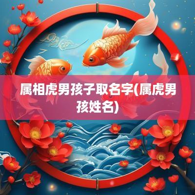 属相虎男孩子取名字(属虎男孩姓名)