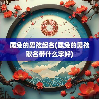 属兔的男孩起名(属兔的男孩取名带什么字好)