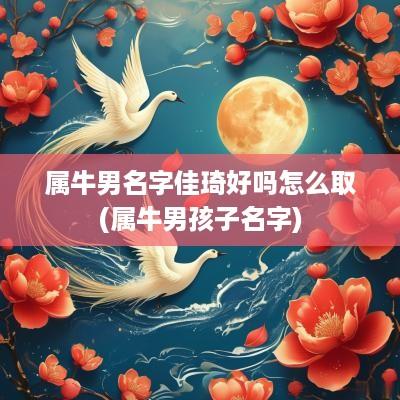 属牛男名字佳琦好吗怎么取(属牛男孩子名字)